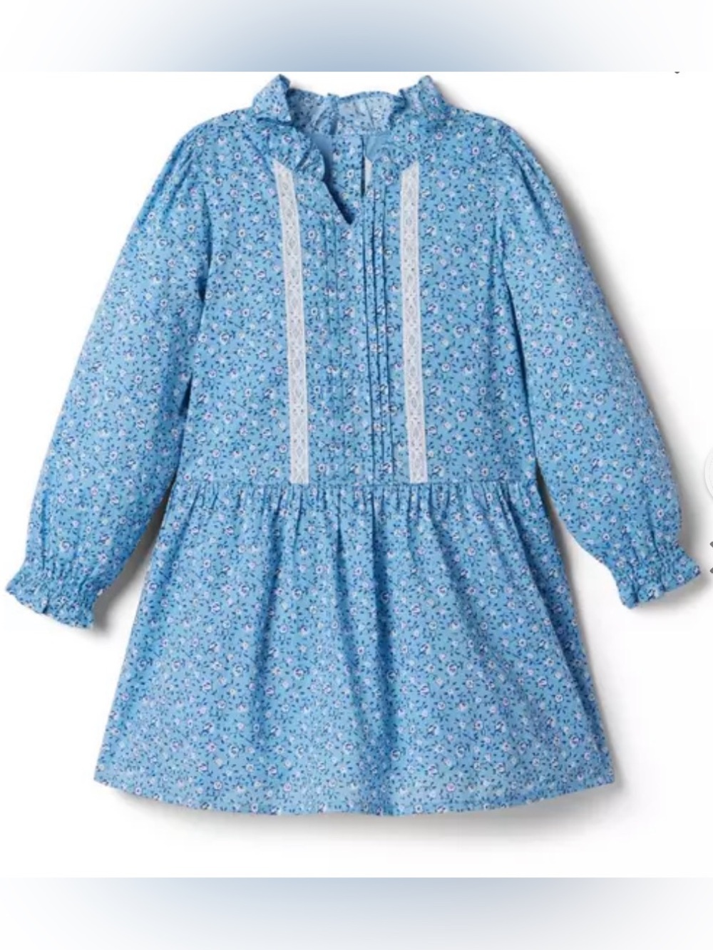 Janie and Jack Blue Floral Lace-Trim Casual Dress